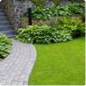 Progettazione e realizzazione di giardini pubblici e privati